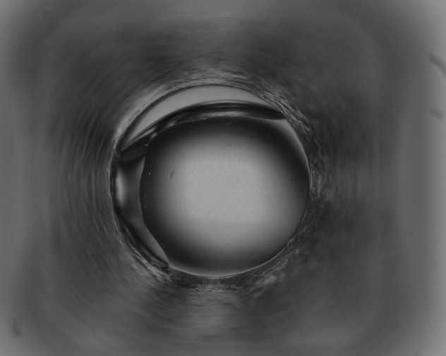 X0000093210244200710031426