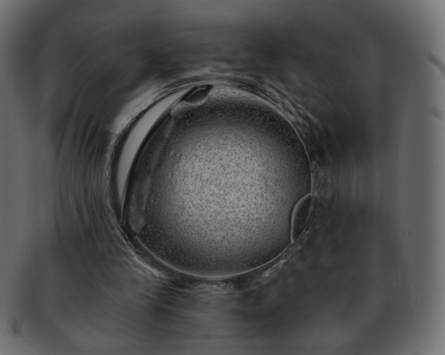 X0000093210245200710031426