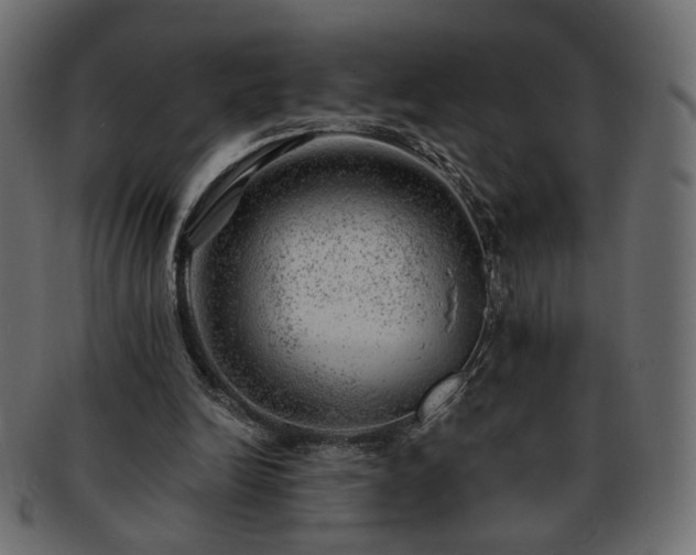 X0000093210246200710031426