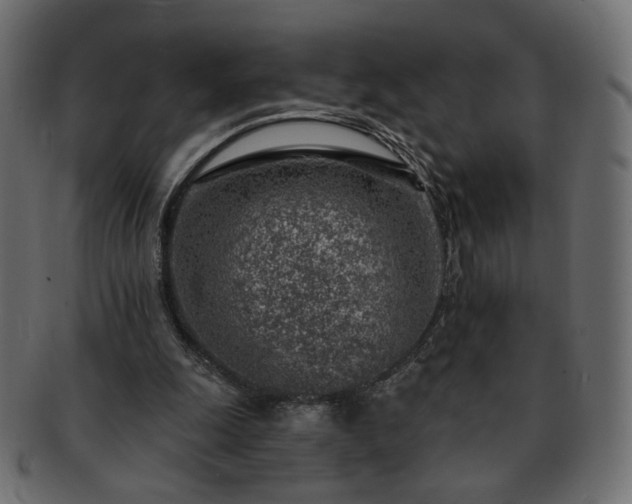 X0000093210247200710031426