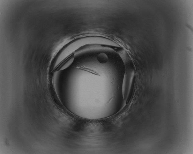 X0000093210248200710031426