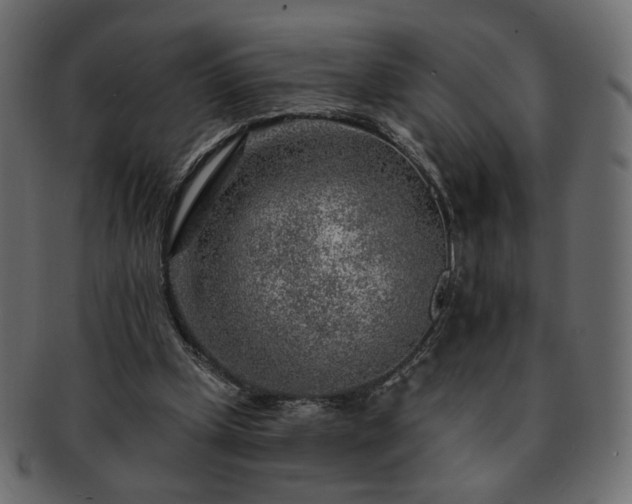 X0000093210249200710031426