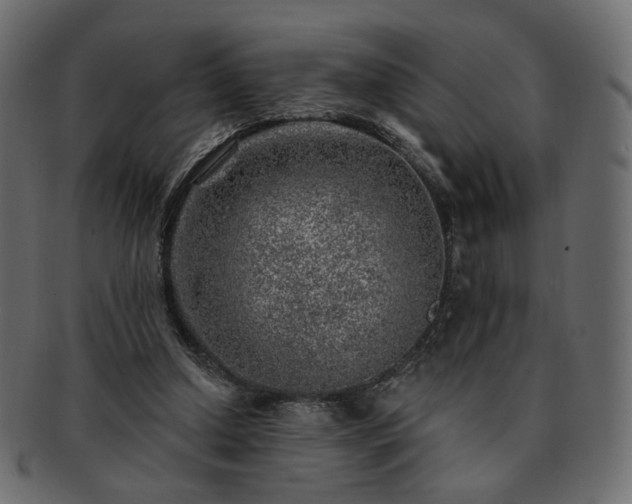 X0000093210250200710031426