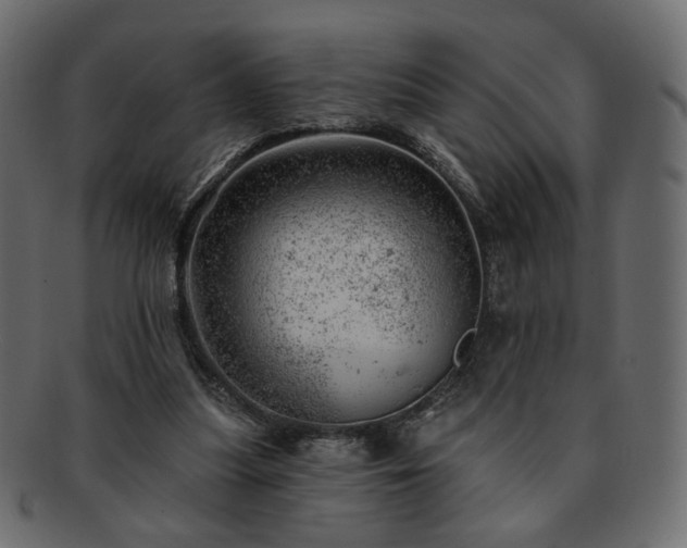 X0000093210251200710031426