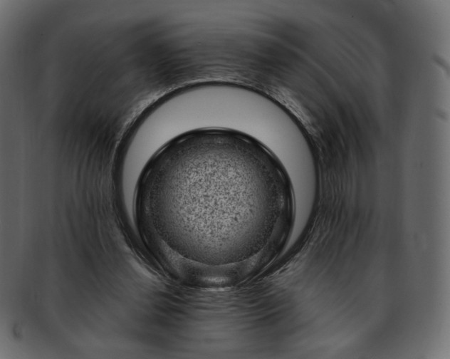 X0000093210252200710031426