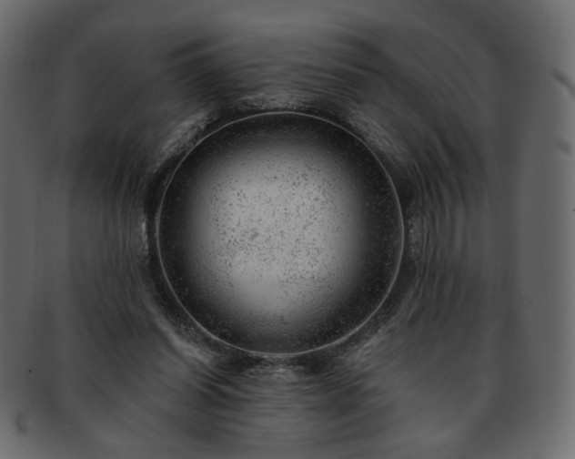 X0000093210254200710031426