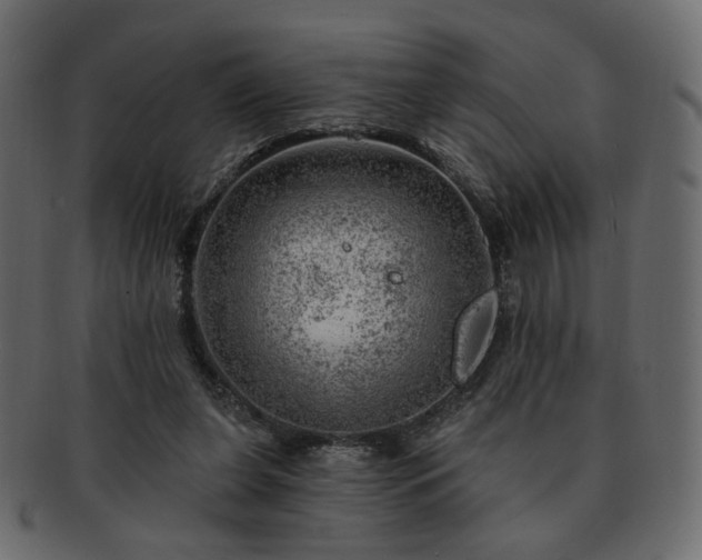 X0000093210255200710031426