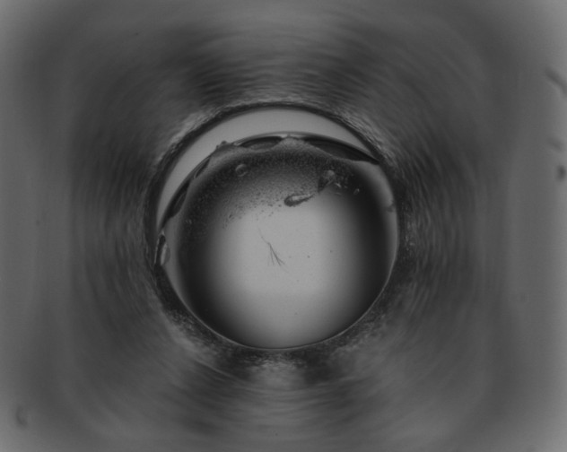 X0000093210256200710031426