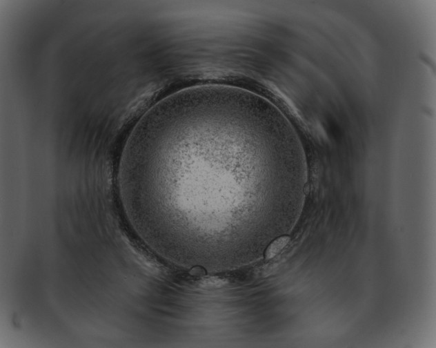 X0000093210257200710031426