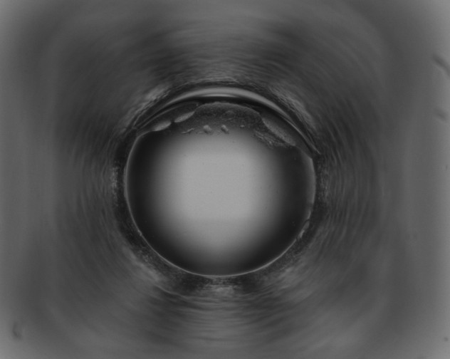 X0000093210260200710031426