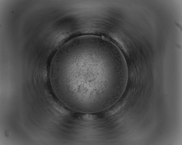 X0000093210261200710031426