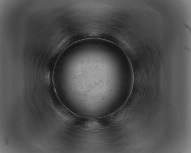 X0000093210262200710031426