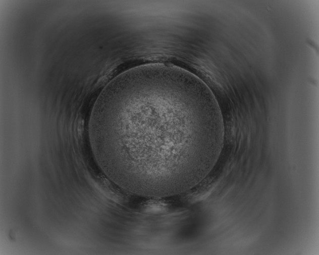 X0000093210263200710031426