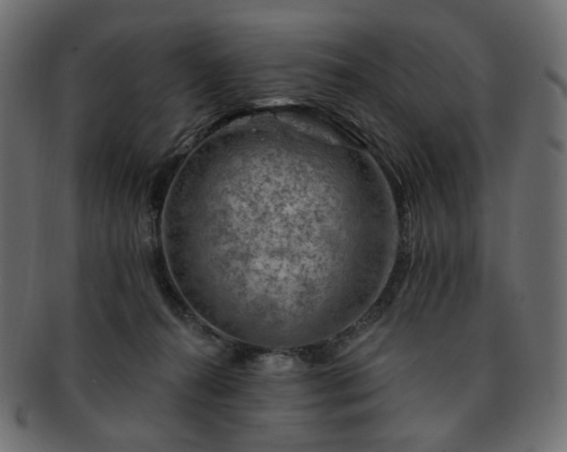 X0000093210272200710031426