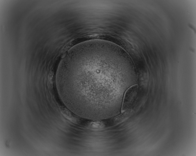 X0000093210275200710031426