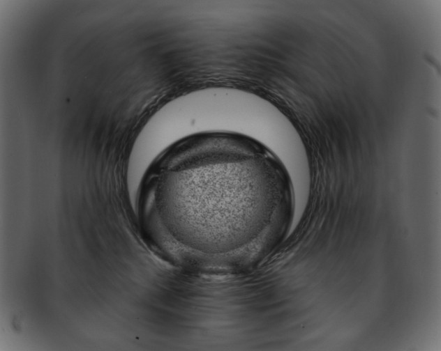 X0000093210280200710031426