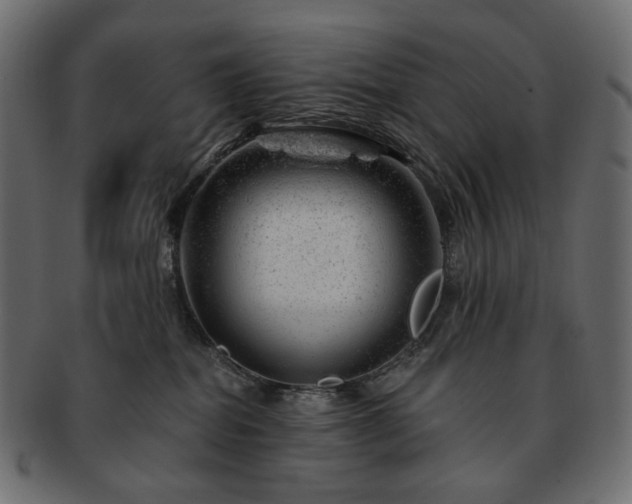 X0000093210282200710031426