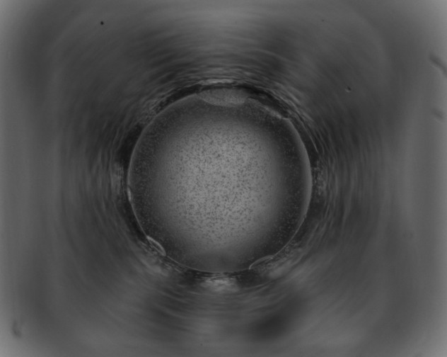 X0000093210283200710031426