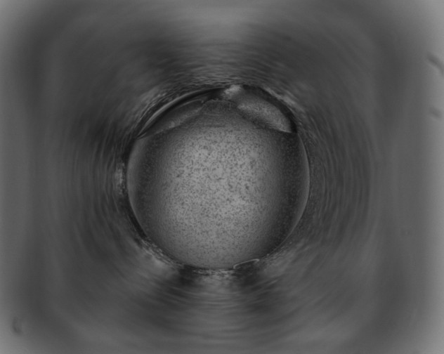 X0000093210288200710031426