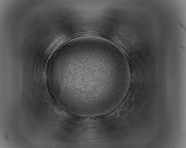 X0000093210290200710031426