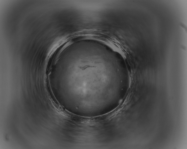 X0000093210293200710031426