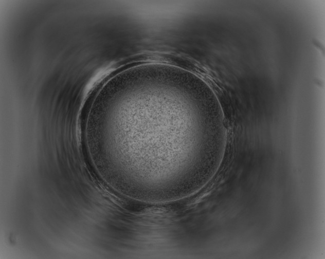 X0000093210294200710031426