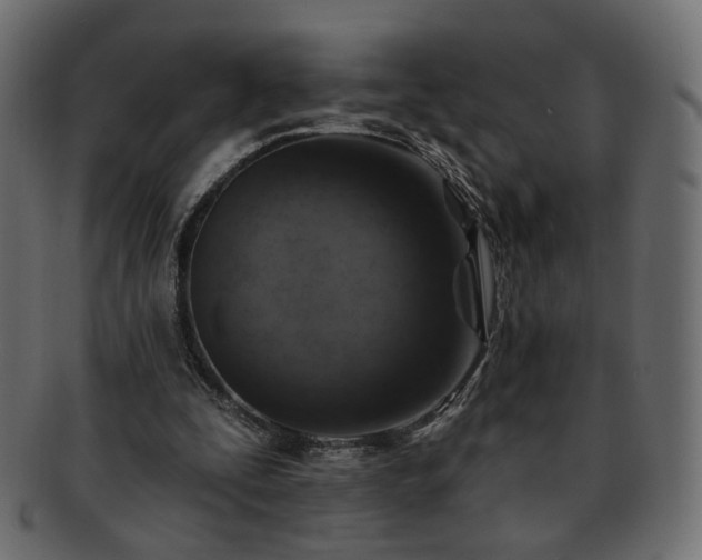 X0000093210295200710031426