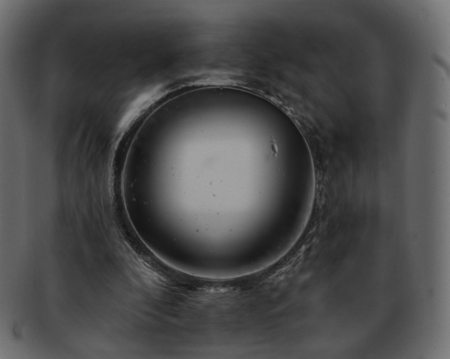 X0000093210296200710031426