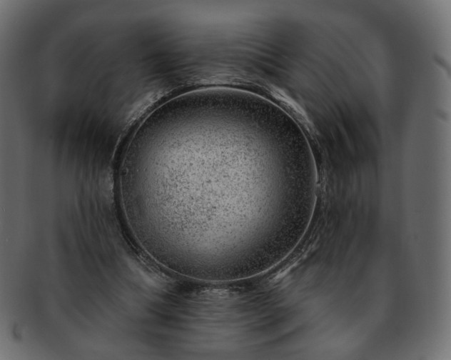 X0000093210298200710031426