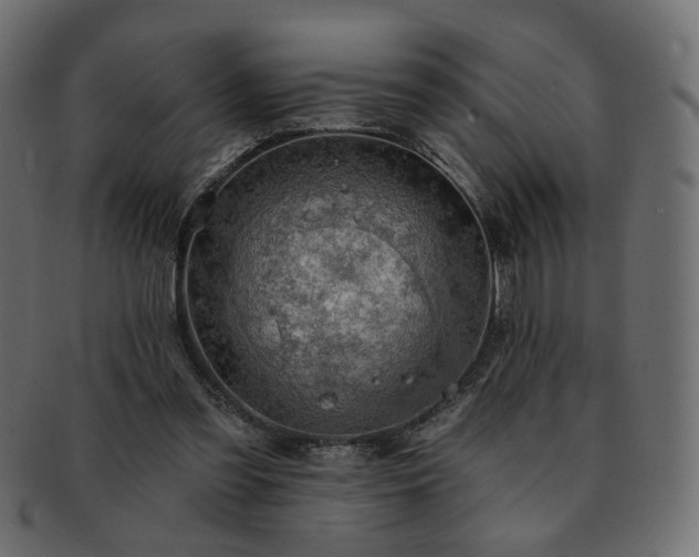 X0000093210301200710031426