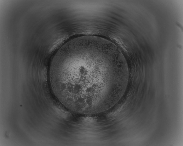 X0000093210303200710031426