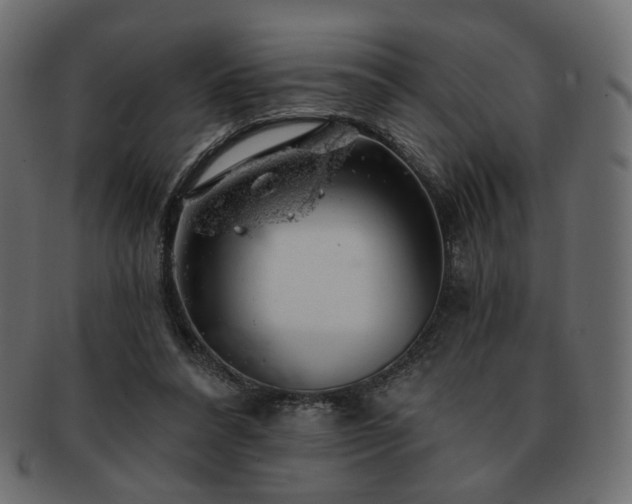 X0000093210304200710031426