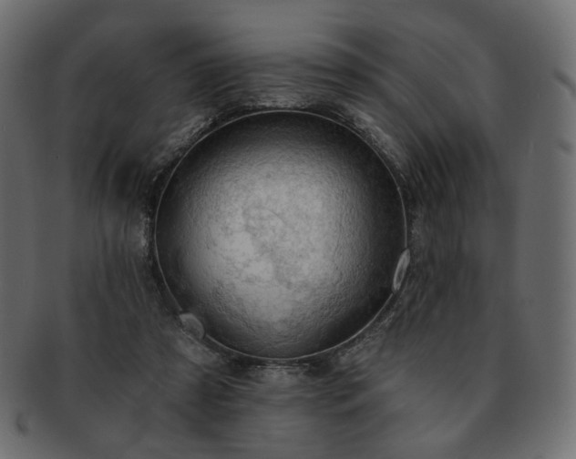 X0000093210305200710031426