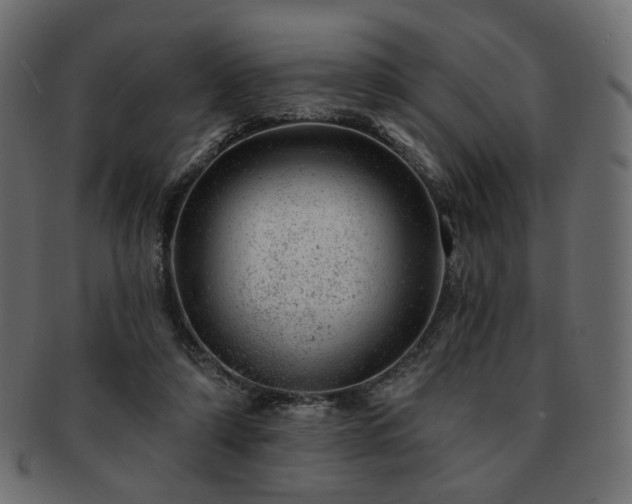 X0000093210306200710031426