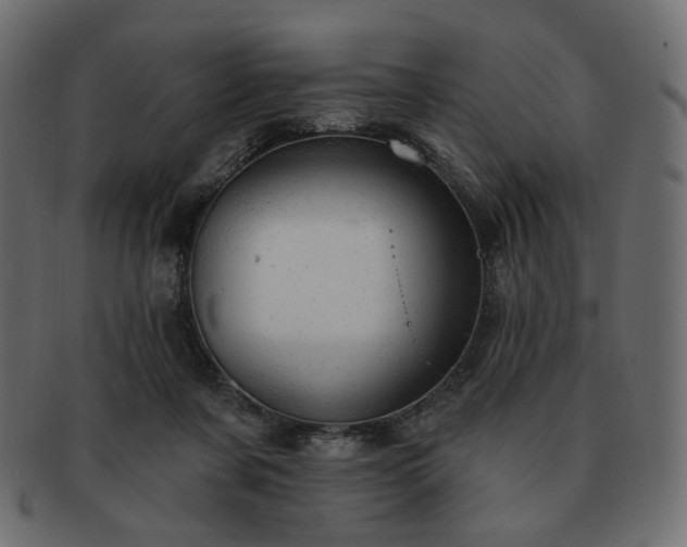 X0000093210311200710031426