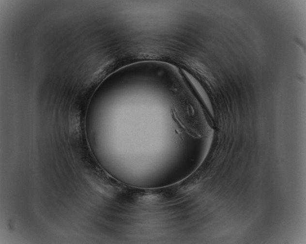 X0000093210312200710031425