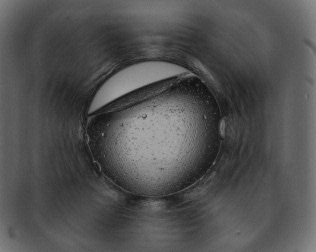 X0000093210313200710031425