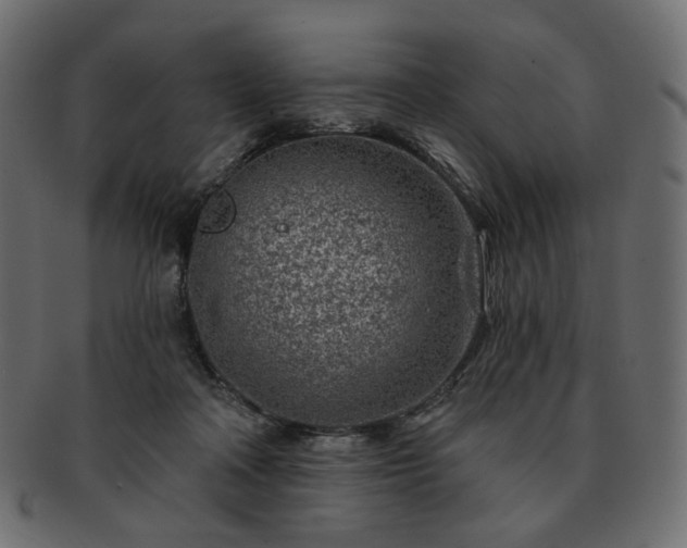 X0000093210314200710031425