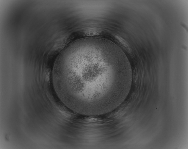 X0000093210315200710031425