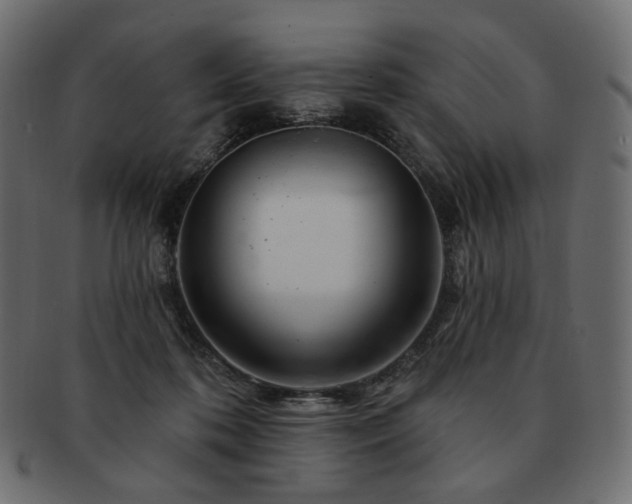 X0000093210316200710031425