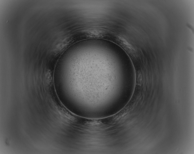 X0000093210318200710031425