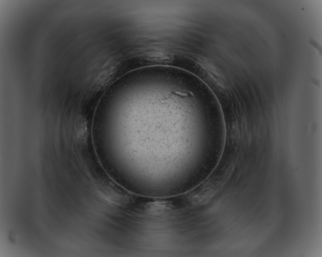 X0000093210320200710031425