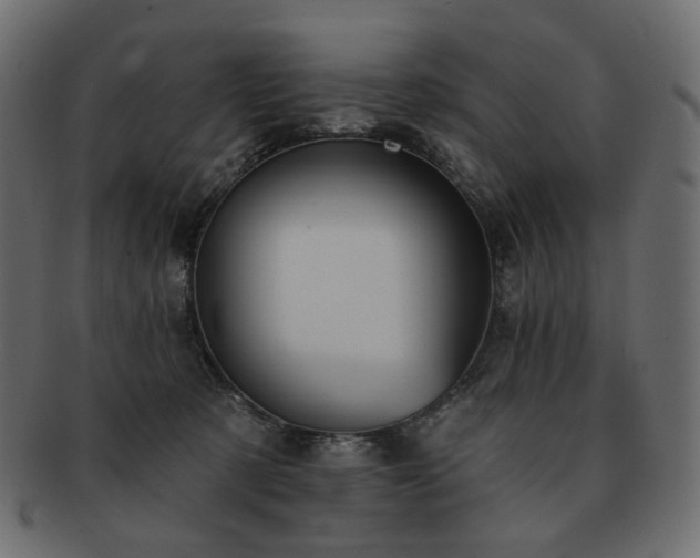 X0000093210321200710031425