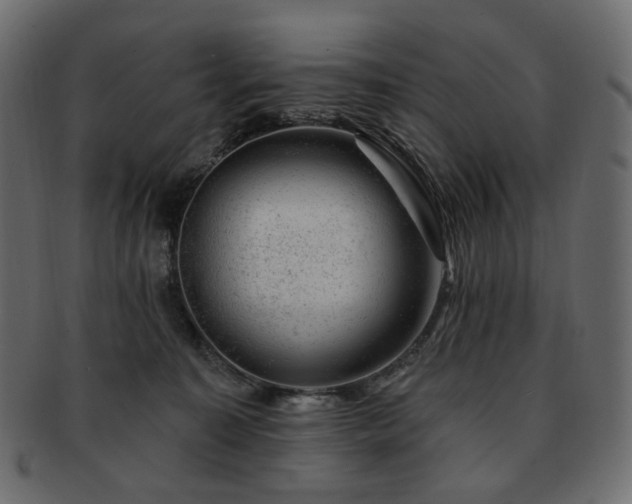 X0000093210323200710031425