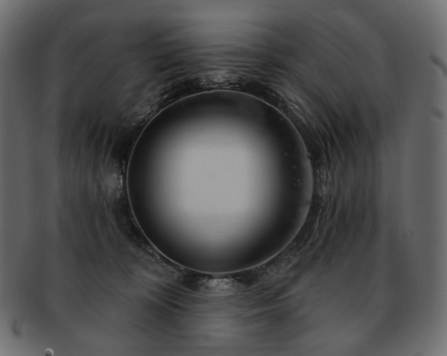 X0000093210324200710031425