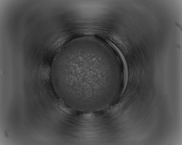 X0000093210325200710031425