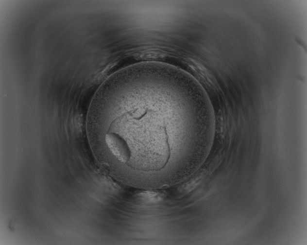 X0000093210326200710031425