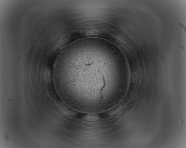 X0000093210327200710031425