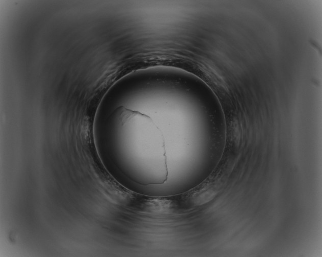 X0000093210328200710031425