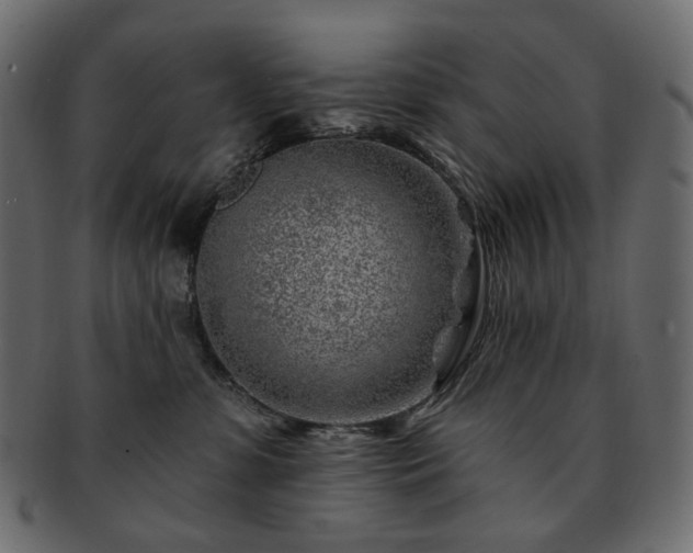 X0000093210331200710031425